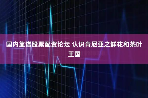 国内靠谱股票配资论坛 认识肯尼亚之鲜花和茶叶王国