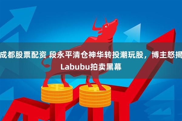 成都股票配资 段永平清仓神华转投潮玩股，博主怒揭Labubu拍卖黑幕